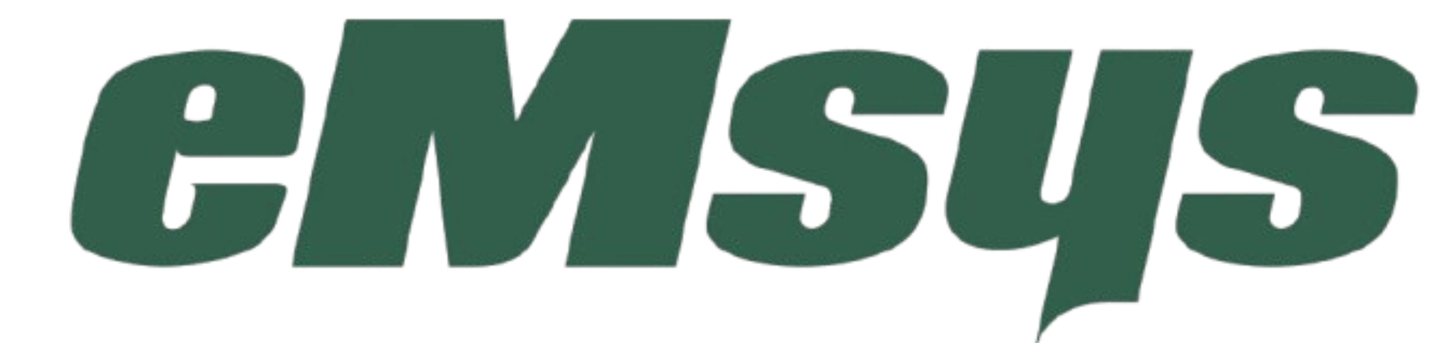 Emsys Logo